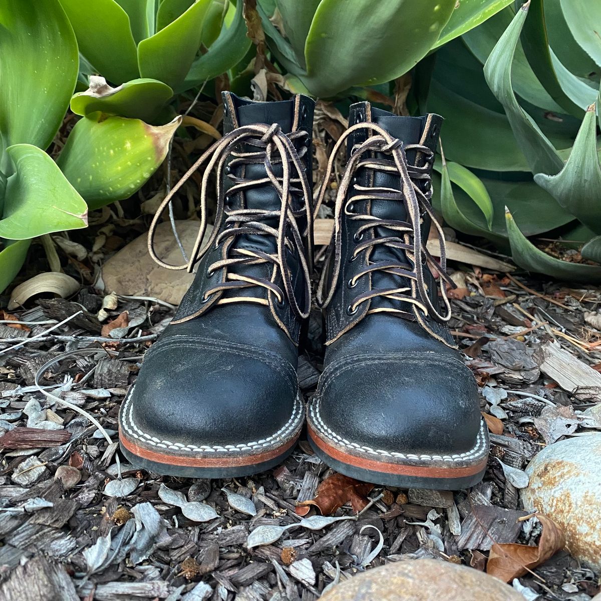 Photo by Maduro355 on December 3, 2024 of the Nicks MTO in Horween Black Waxed Flesh.