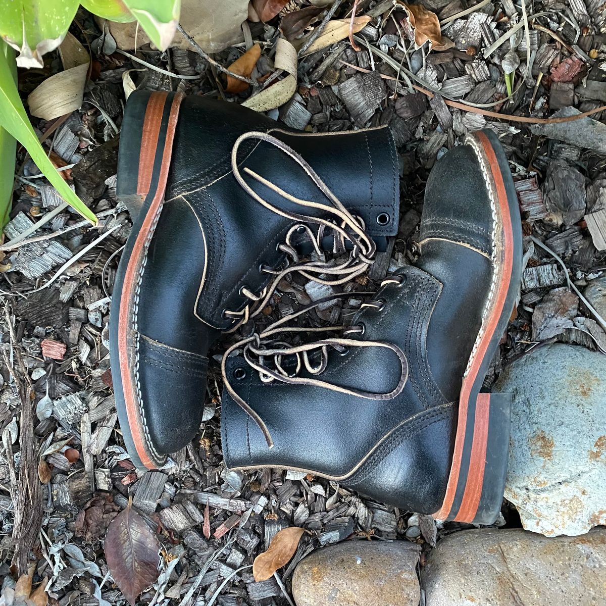 Photo by Maduro355 on December 3, 2024 of the Nicks MTO in Horween Black Waxed Flesh.