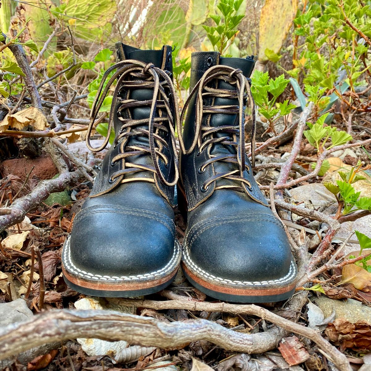 Photo by Maduro355 on January 5, 2025 of the Nicks MTO in Horween Black Waxed Flesh.