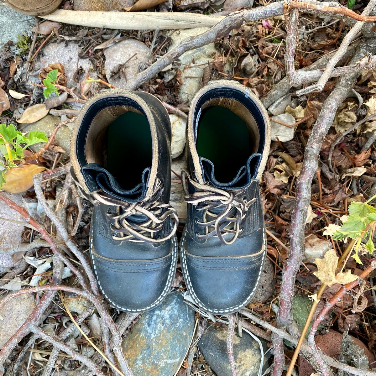 Photo by Maduro355 on January 5, 2025 of the Nicks MTO in Horween Black Waxed Flesh.