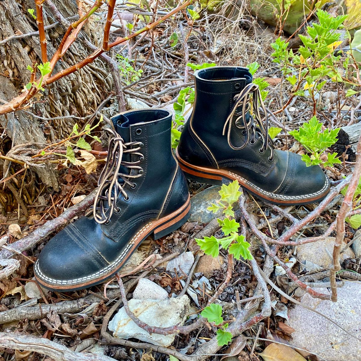 Photo by Maduro355 on January 5, 2025 of the Nicks MTO in Horween Black Waxed Flesh.