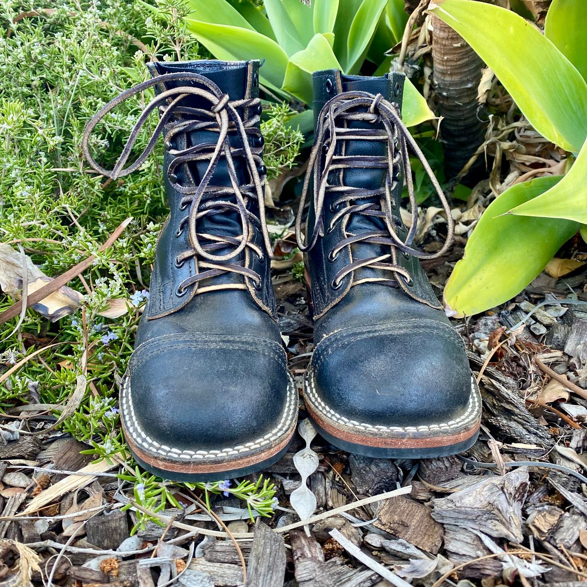 Photo by Maduro355 on February 2, 2025 of the Nicks MTO in Horween Black Waxed Flesh.