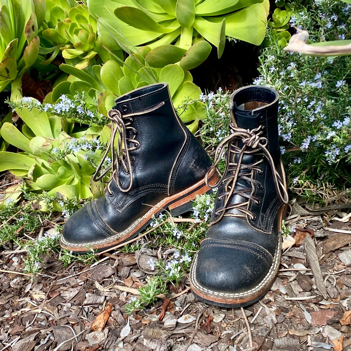 Photo by Maduro355 on March 2, 2025 of the Nicks MTO in Horween Black Waxed Flesh.