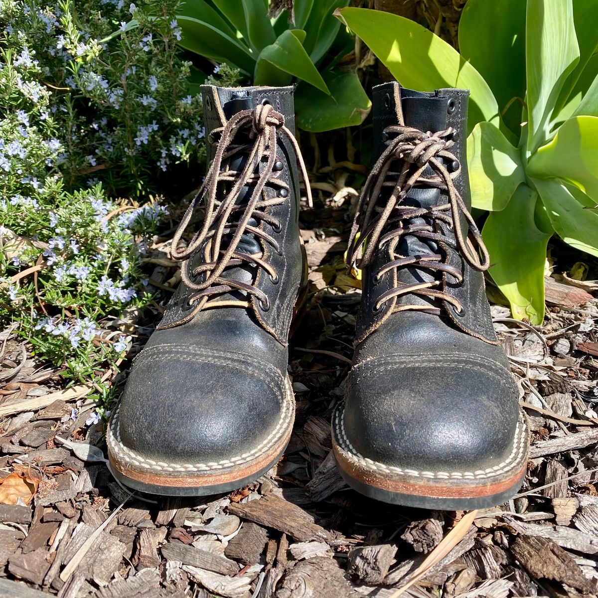 Photo by Maduro355 on March 2, 2025 of the Nicks MTO in Horween Black Waxed Flesh.
