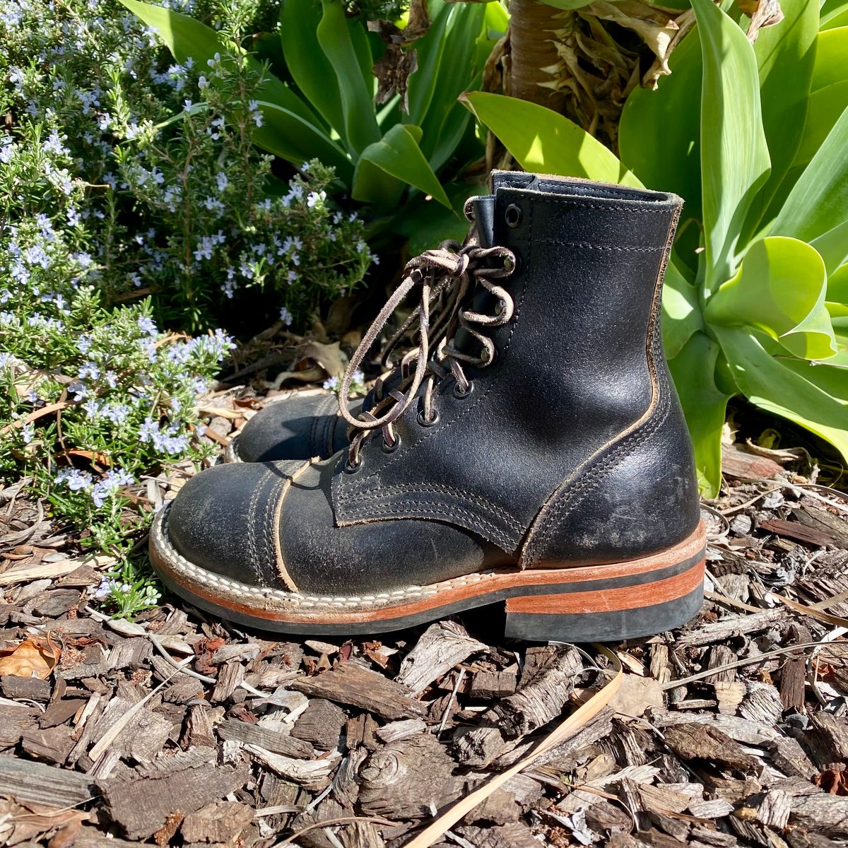 Photo by Maduro355 on March 2, 2025 of the Nicks MTO in Horween Black Waxed Flesh.