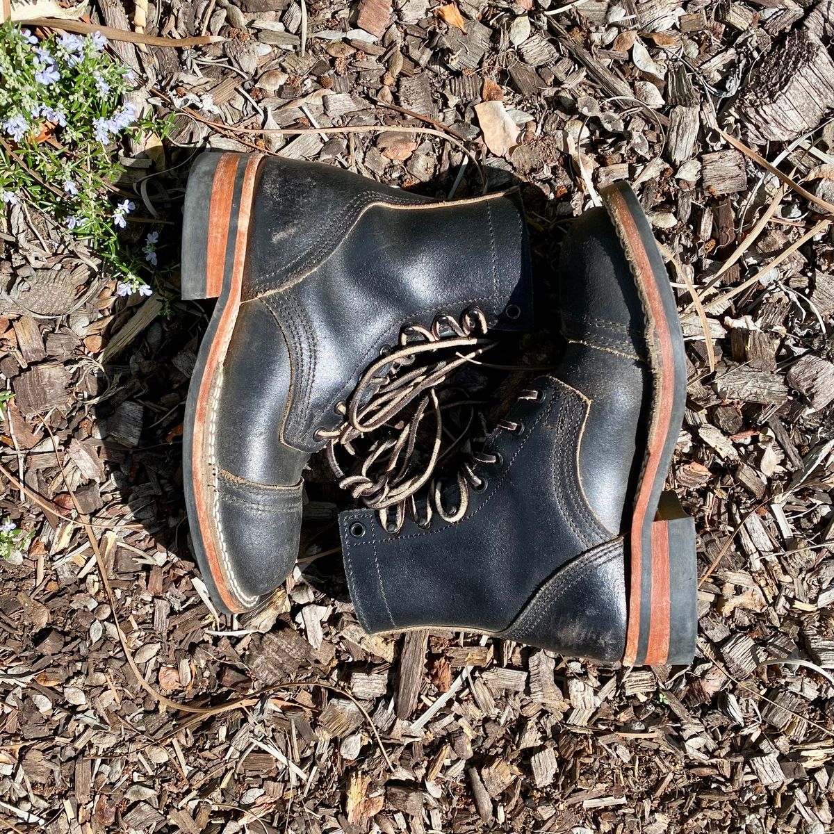 Photo by Maduro355 on March 2, 2025 of the Nicks MTO in Horween Black Waxed Flesh.