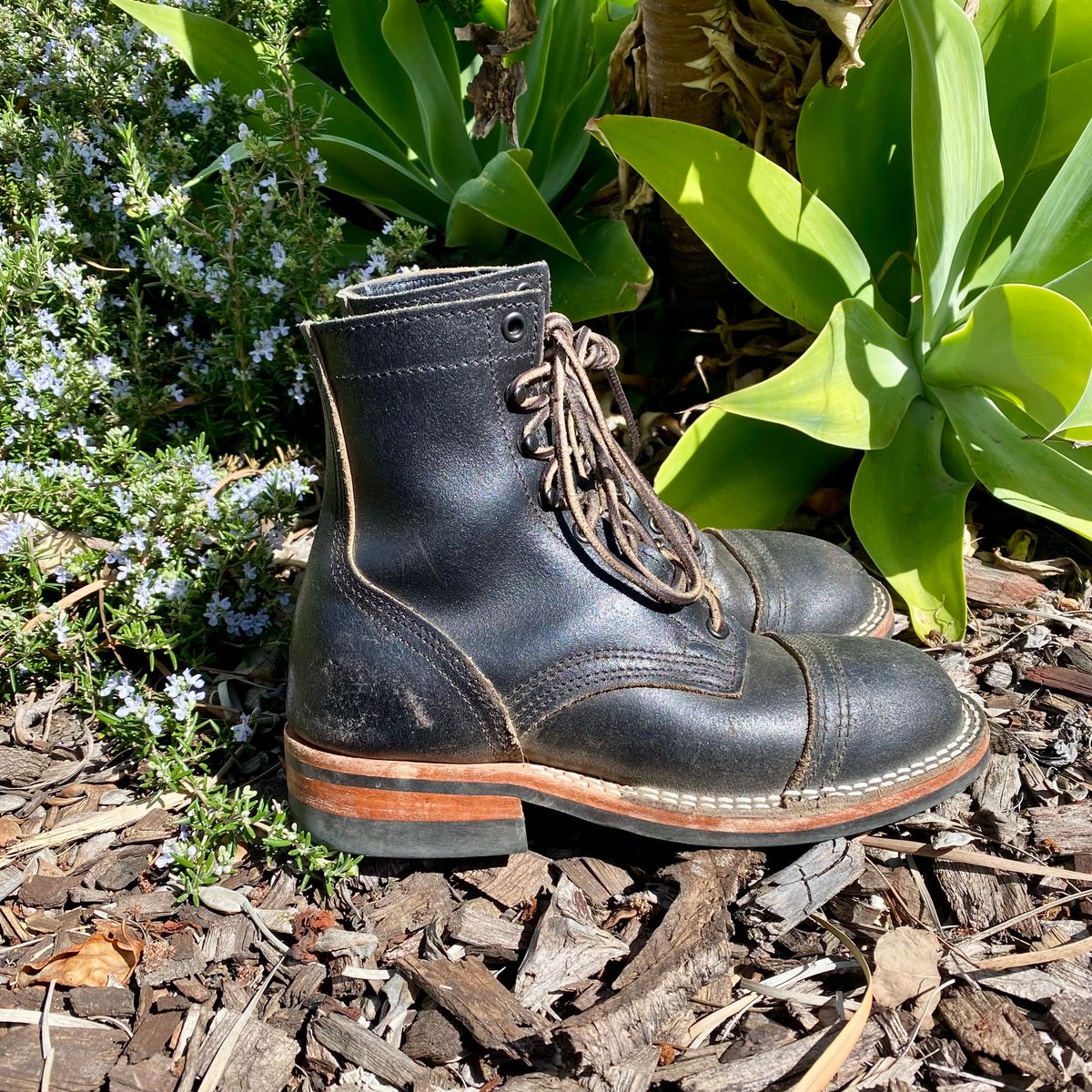 Photo by Maduro355 on March 2, 2025 of the Nicks MTO in Horween Black Waxed Flesh.