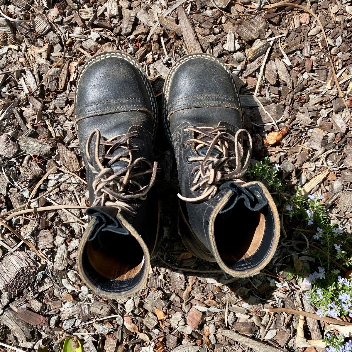 Photo by Maduro355 on March 2, 2025 of the Nicks MTO in Horween Black Waxed Flesh.
