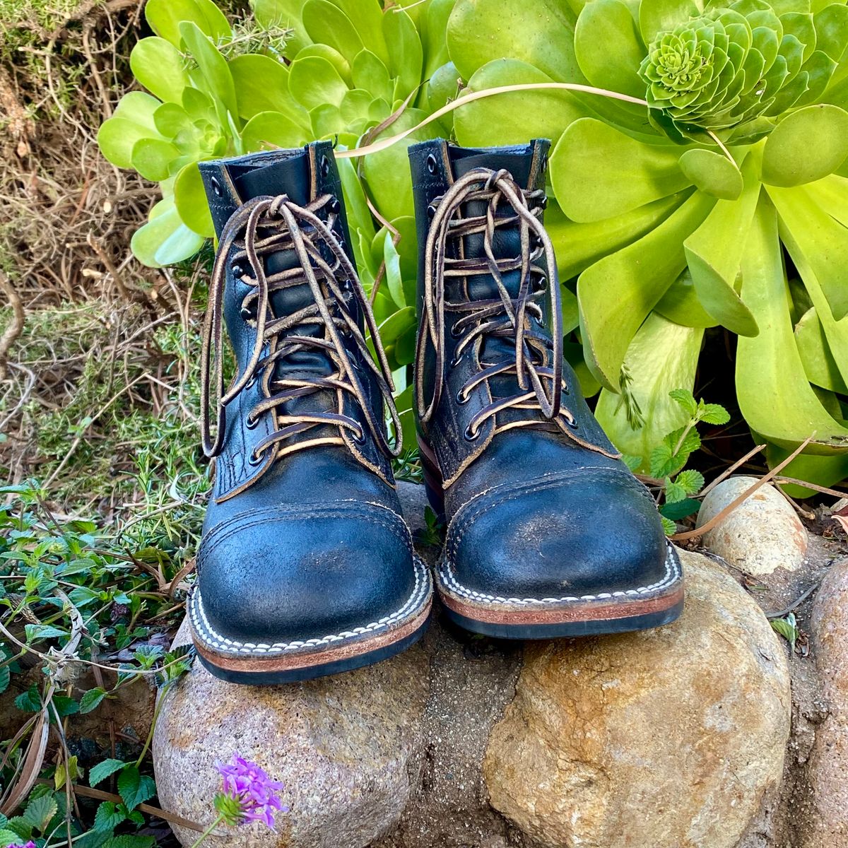 Photo by Maduro355 on April 3, 2025 of the Nicks MTO in Horween Black Waxed Flesh.