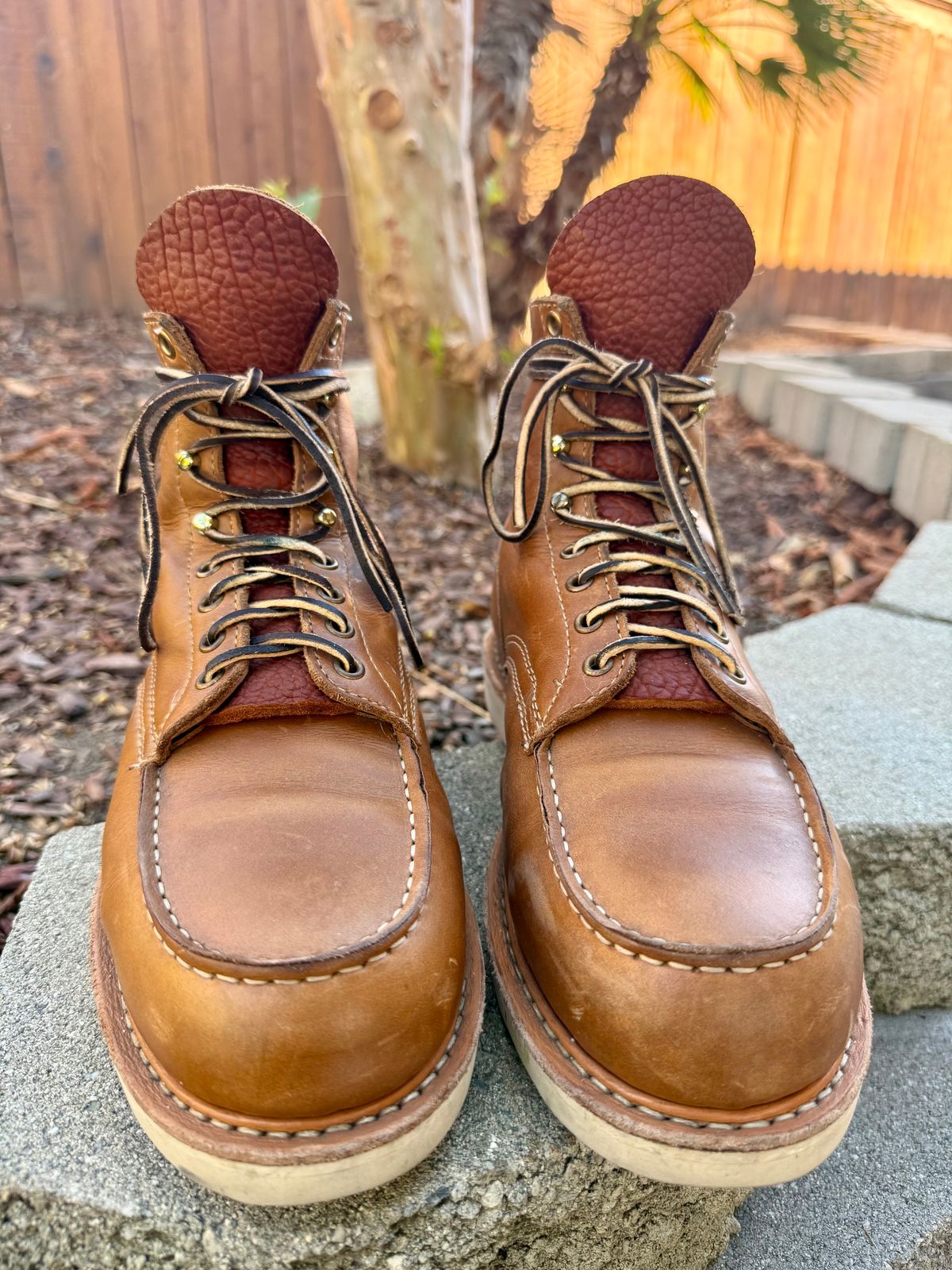 Photo by ER_Stitcher on October 18, 2025 of the White's Perry 6" Select in Seidel Natural Double Shot & Kilties: Tobacco Shrunken Bison - Rose Anvil.