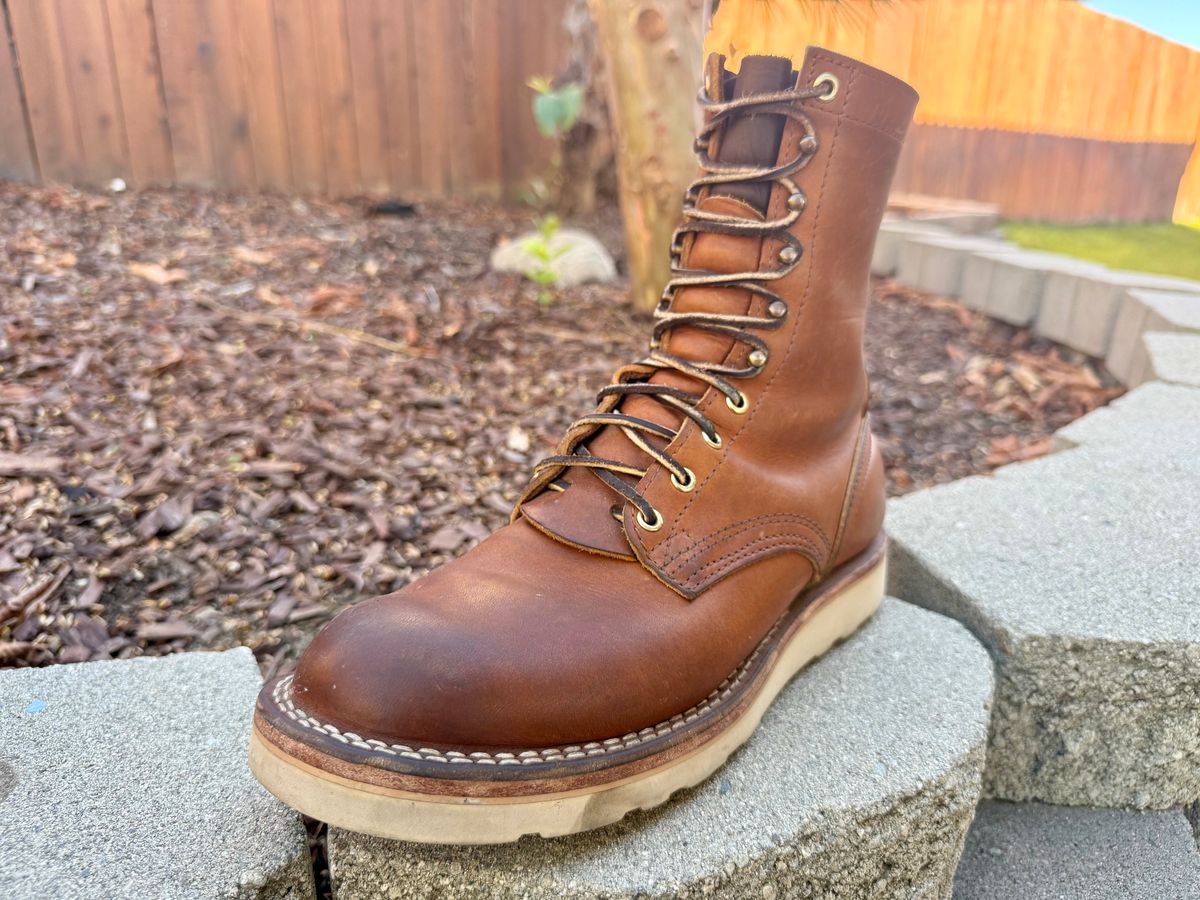 Photo by ER_Stitcher on October 18, 2025 of the Nicks Traveler in Spokane Honey.