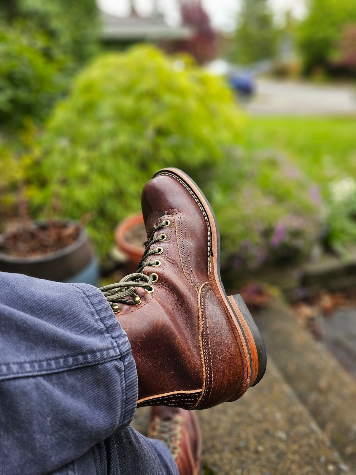 Photo by Dreadnaught on April 29, 2024 of the Nicks Lace to Toe Heritage in Italian Brown Cypress.