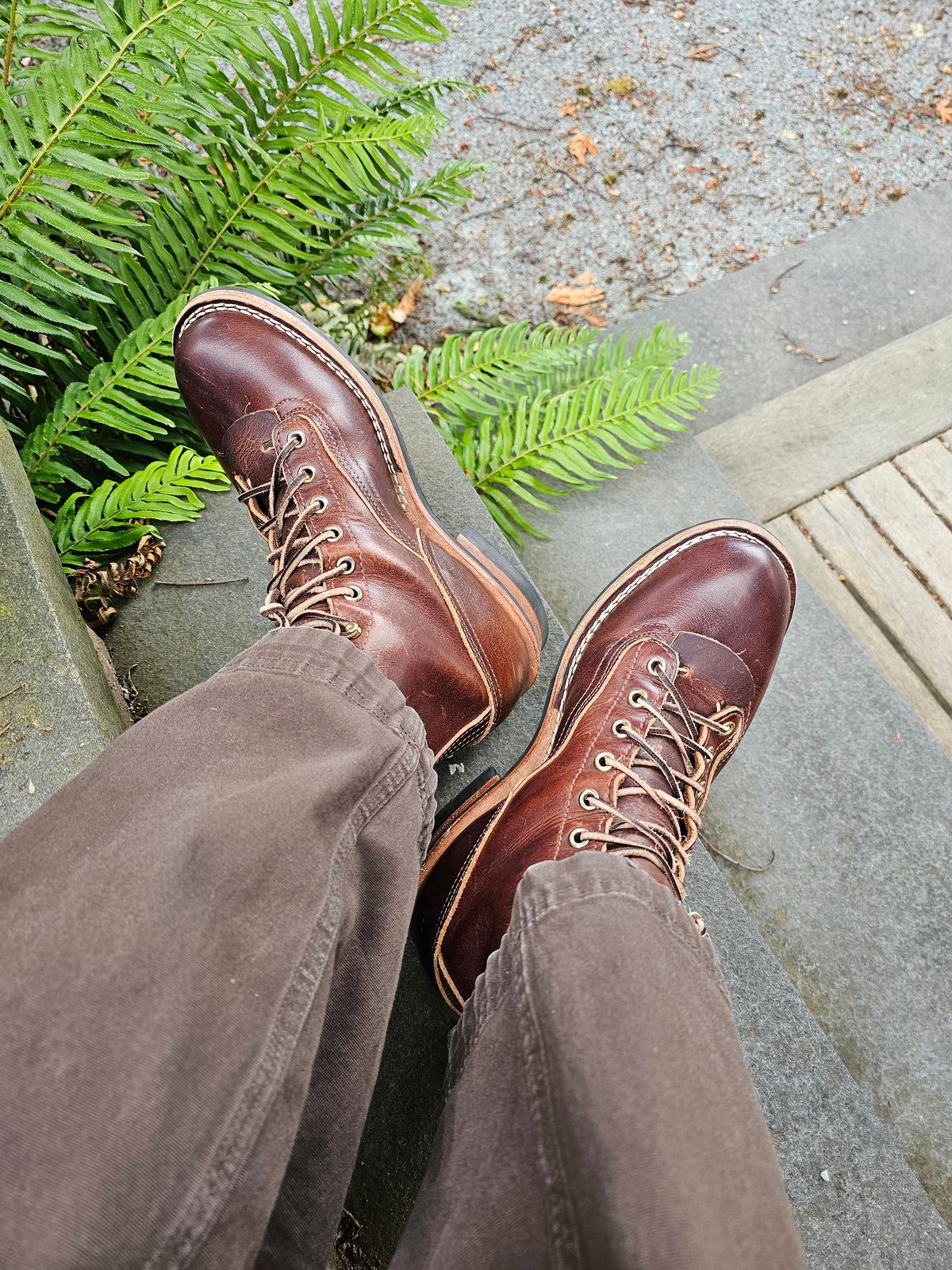 Photo by Dreadnaught on June 15, 2024 of the Nicks Lace to Toe Heritage in Italian Brown Cypress.