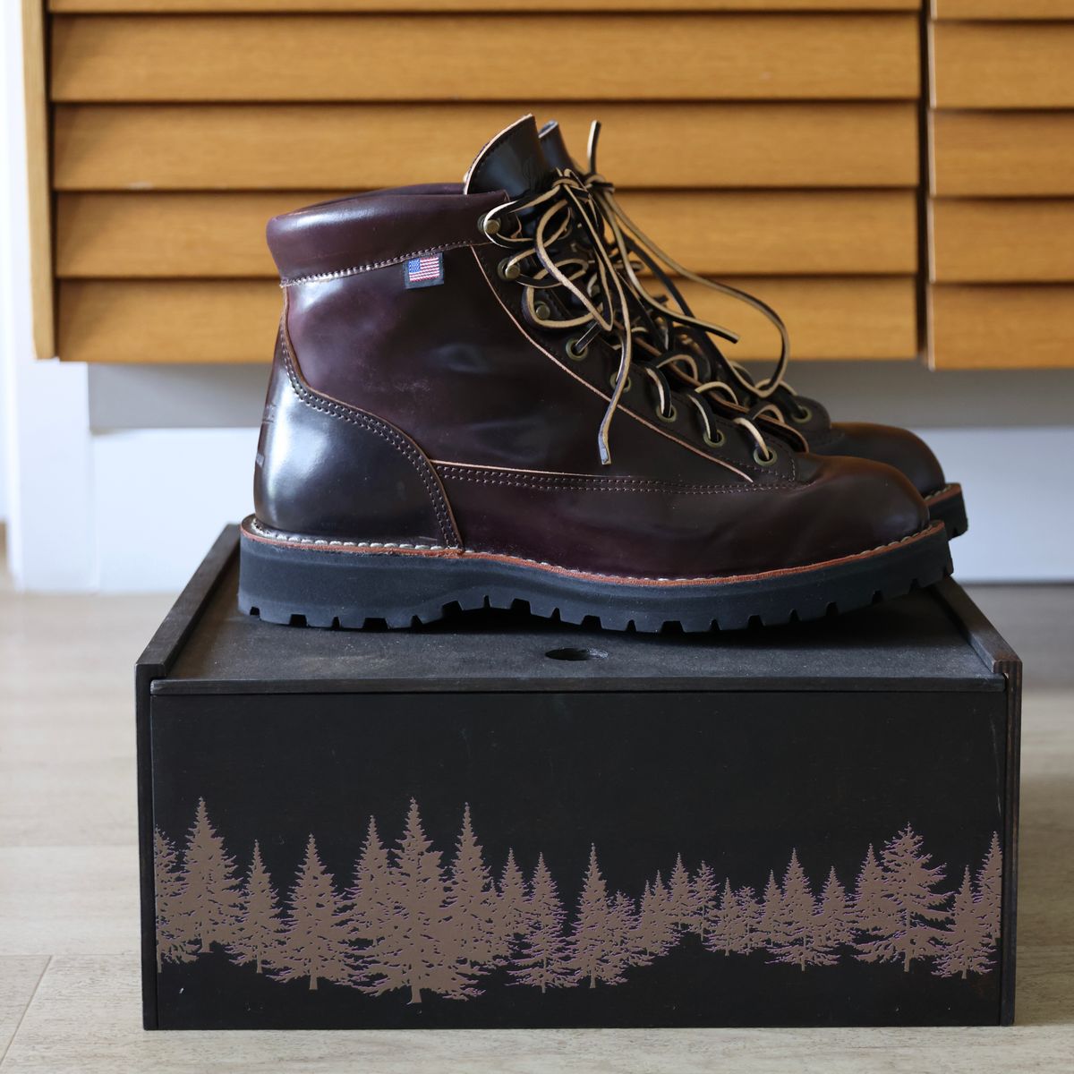 Photo by willygil on October 4, 2025 of the Danner Light in Horween Color 8 Shell Cordovan.