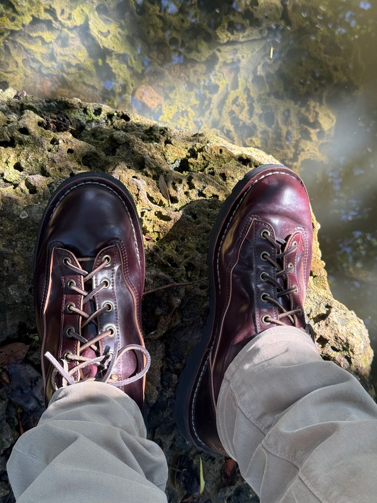 Photo by willygil on October 8, 2025 of the Danner Light in Horween Color 8 Shell Cordovan.
