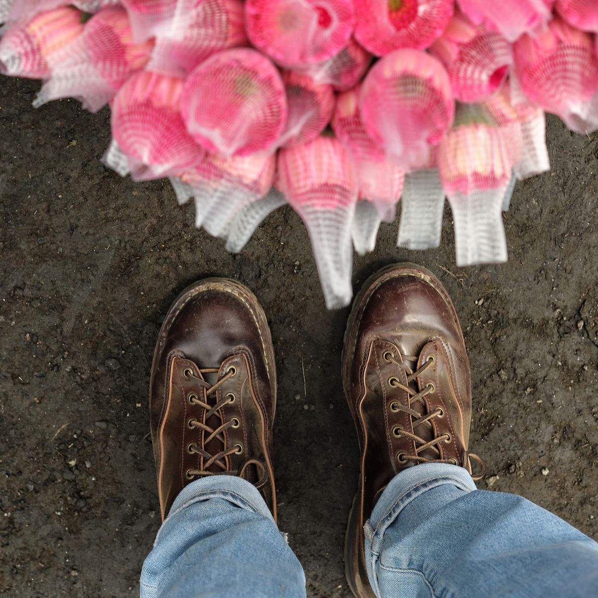 Photo by willygil on October 21, 2025 of the Danner Light in Horween Color 8 Shell Cordovan.