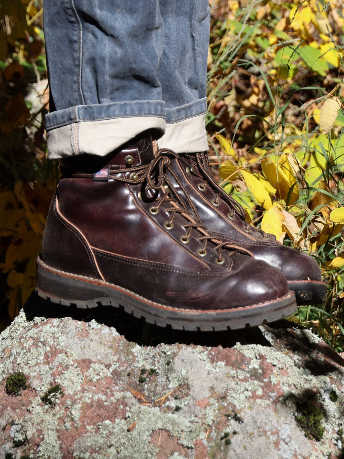Photo by willygil on October 28, 2025 of the Danner Light in Horween Color 8 Shell Cordovan.