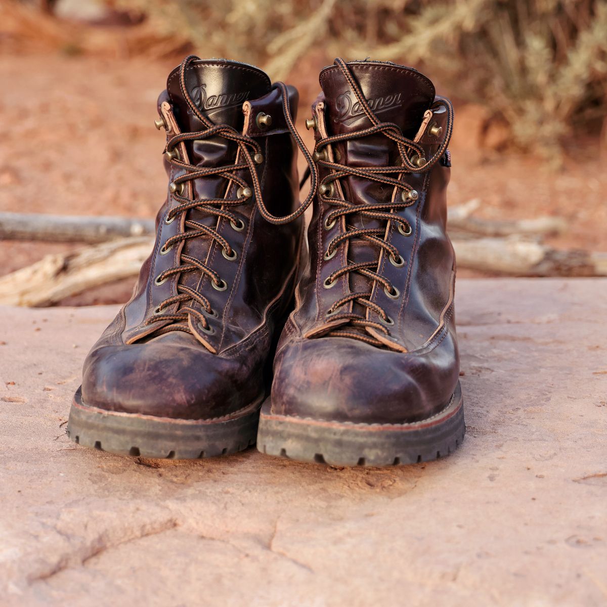 Photo by willygil on November 1, 2025 of the Danner Light in Horween Color 8 Shell Cordovan.