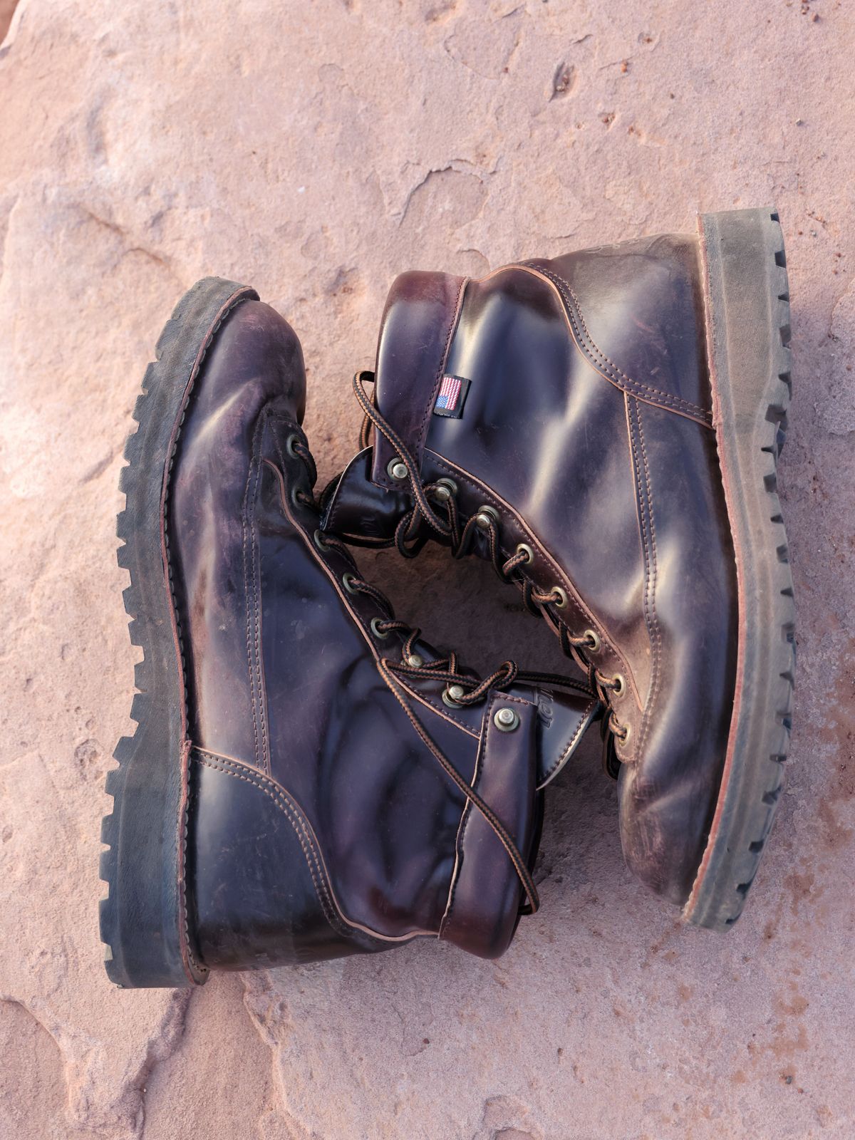 Photo by willygil on November 1, 2025 of the Danner Light in Horween Color 8 Shell Cordovan.