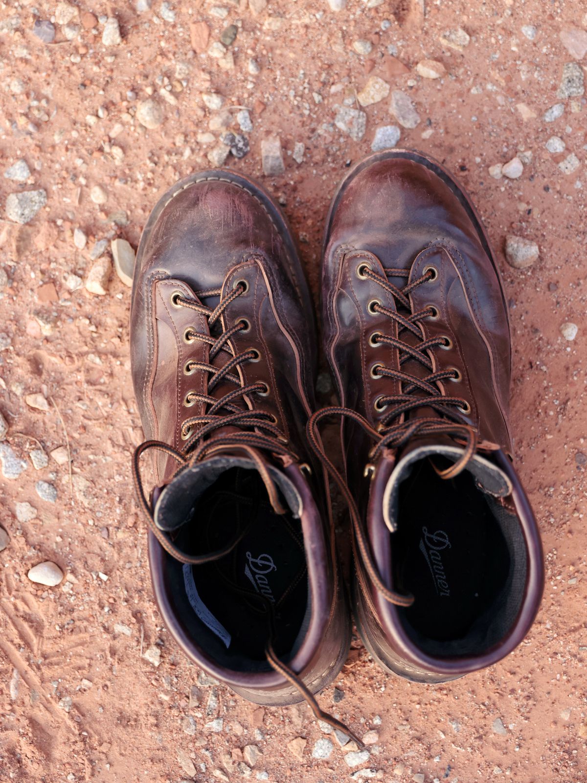 Photo by willygil on November 1, 2025 of the Danner Light in Horween Color 8 Shell Cordovan.