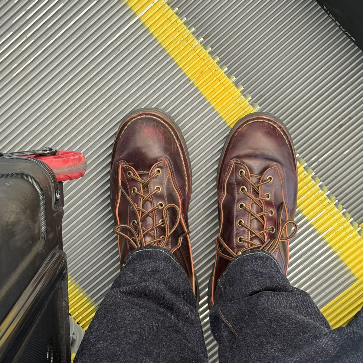 Photo by willygil on November 2, 2025 of the Danner Light in Horween Color 8 Shell Cordovan.