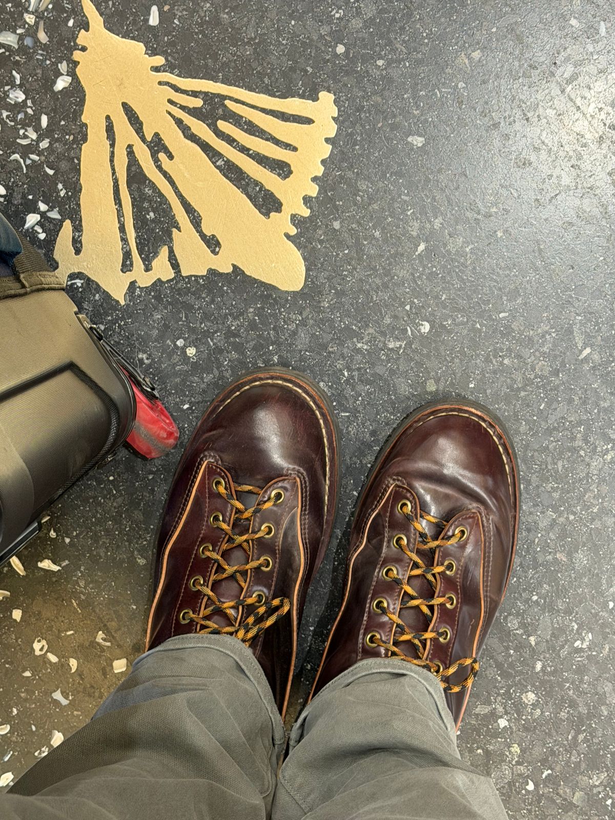 Photo by willygil on November 11, 2025 of the Danner Light in Horween Color 8 Shell Cordovan.