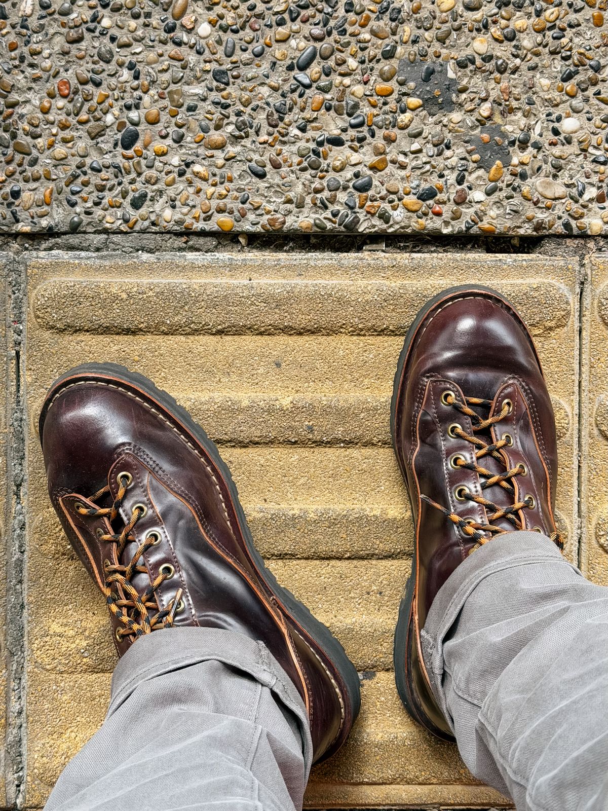 Photo by willygil on November 11, 2025 of the Danner Light in Horween Color 8 Shell Cordovan.