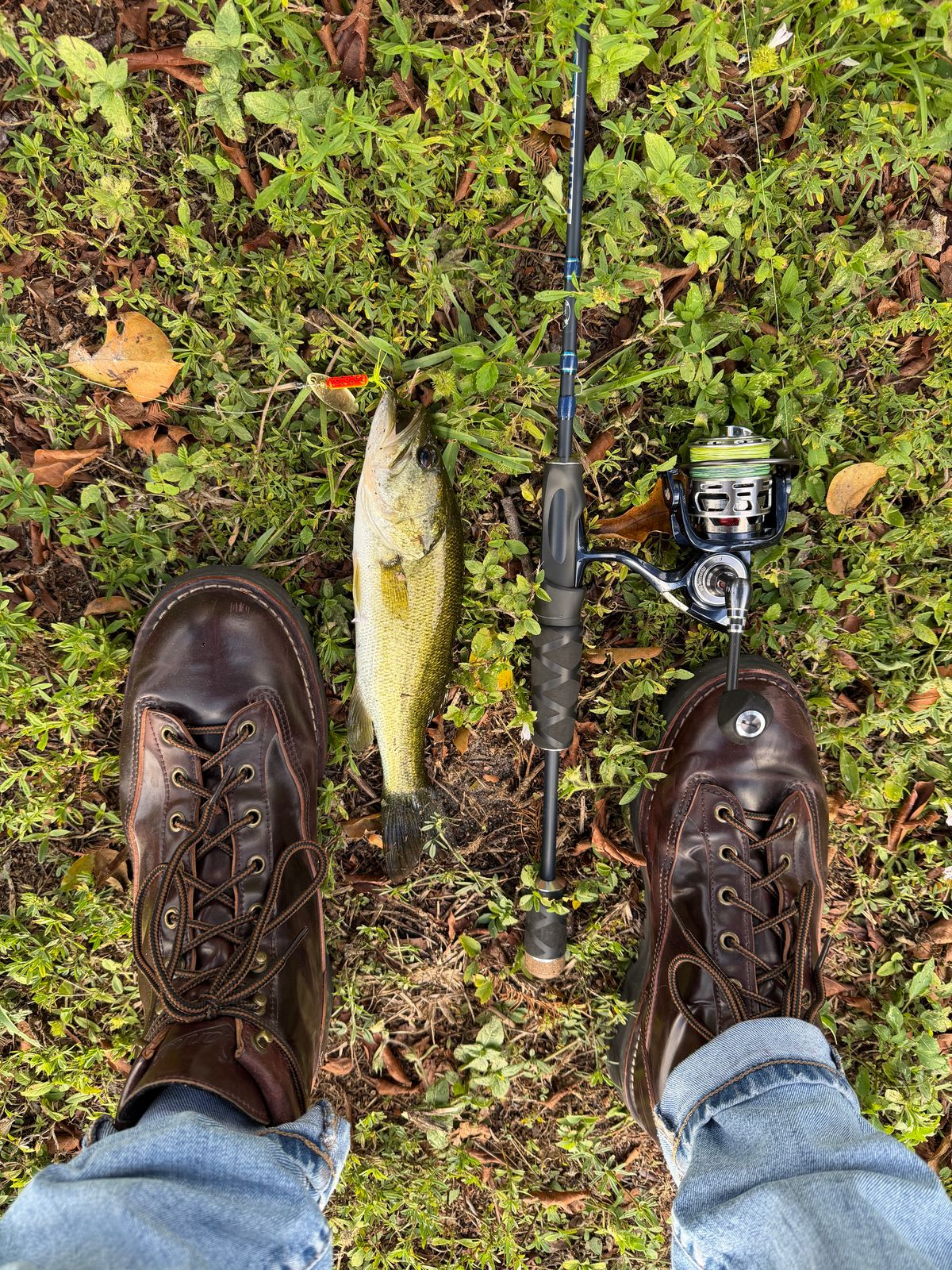 Photo by willygil on December 18, 2025 of the Danner Light in Horween Color 8 Shell Cordovan.