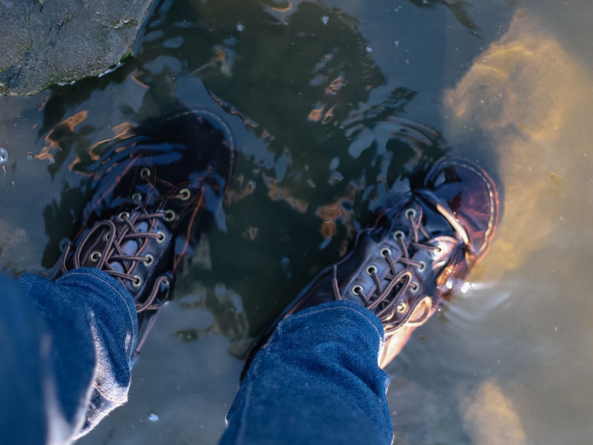 Photo by willygil on December 29, 2025 of the Danner Light in Horween Color 8 Shell Cordovan.