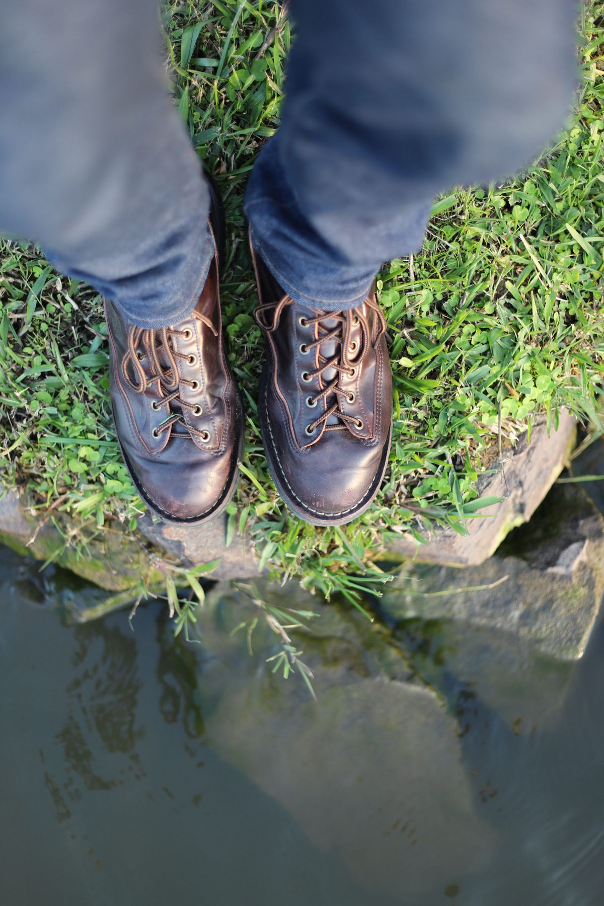 Photo by willygil on December 29, 2025 of the Danner Light in Horween Color 8 Shell Cordovan.