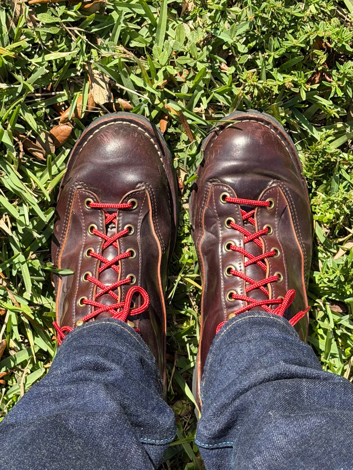 Photo by willygil on January 20, 2026 of the Danner Light in Horween Color 8 Shell Cordovan.