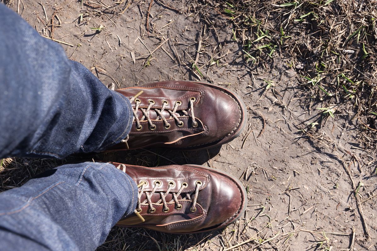 Photo by willygil on February 1, 2026 of the Danner Light in Horween Color 8 Shell Cordovan.