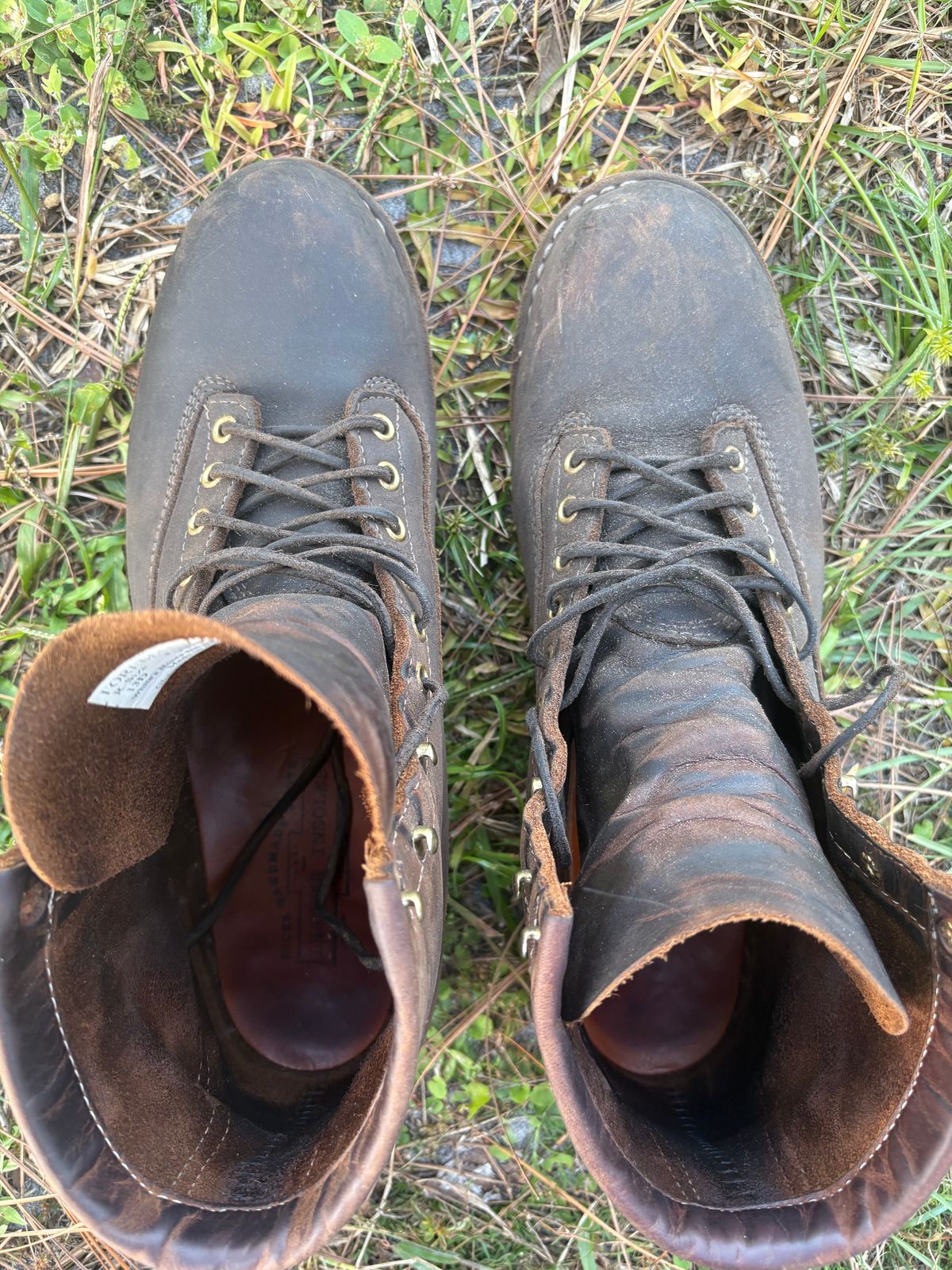 Photo by MuttBarker on November 4, 2025 of the White's Foreman Lace to Toe in Brown Distress.