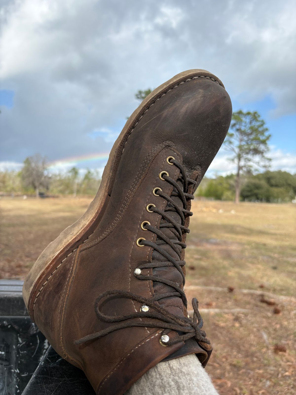 Photo by MuttBarker on January 3, 2026 of the White's Foreman Lace to Toe in Brown Distress.