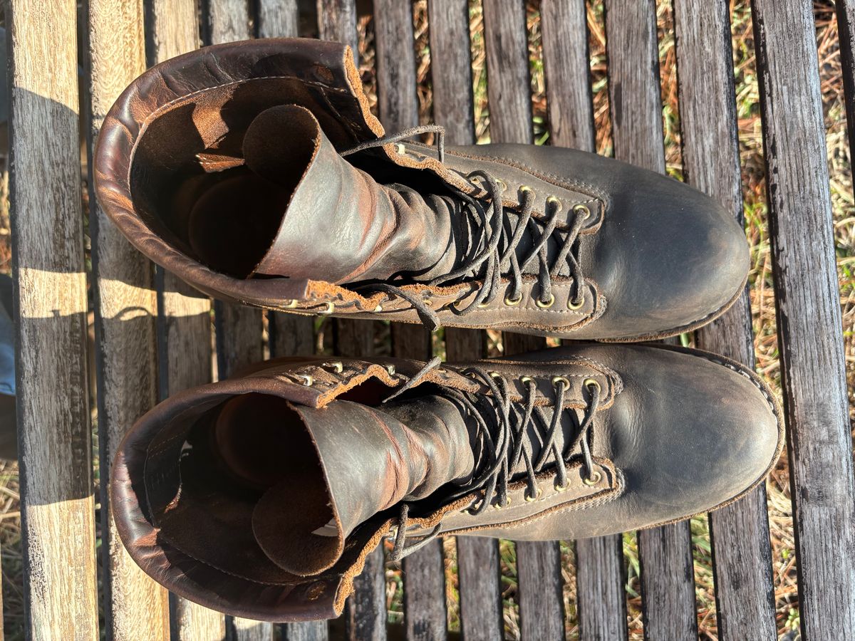 Photo by MuttBarker on January 4, 2026 of the White's Foreman Lace to Toe in Brown Distress.