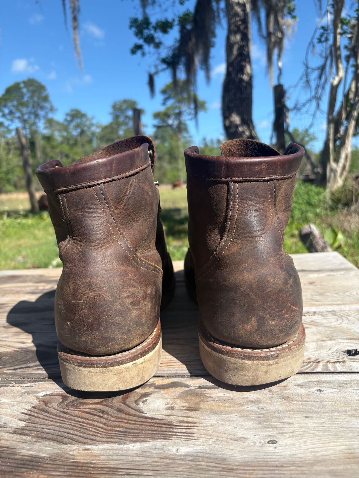 Photo by MuttBarker on April 4, 2026 of the White's Foreman Lace to Toe in Brown Distress.
