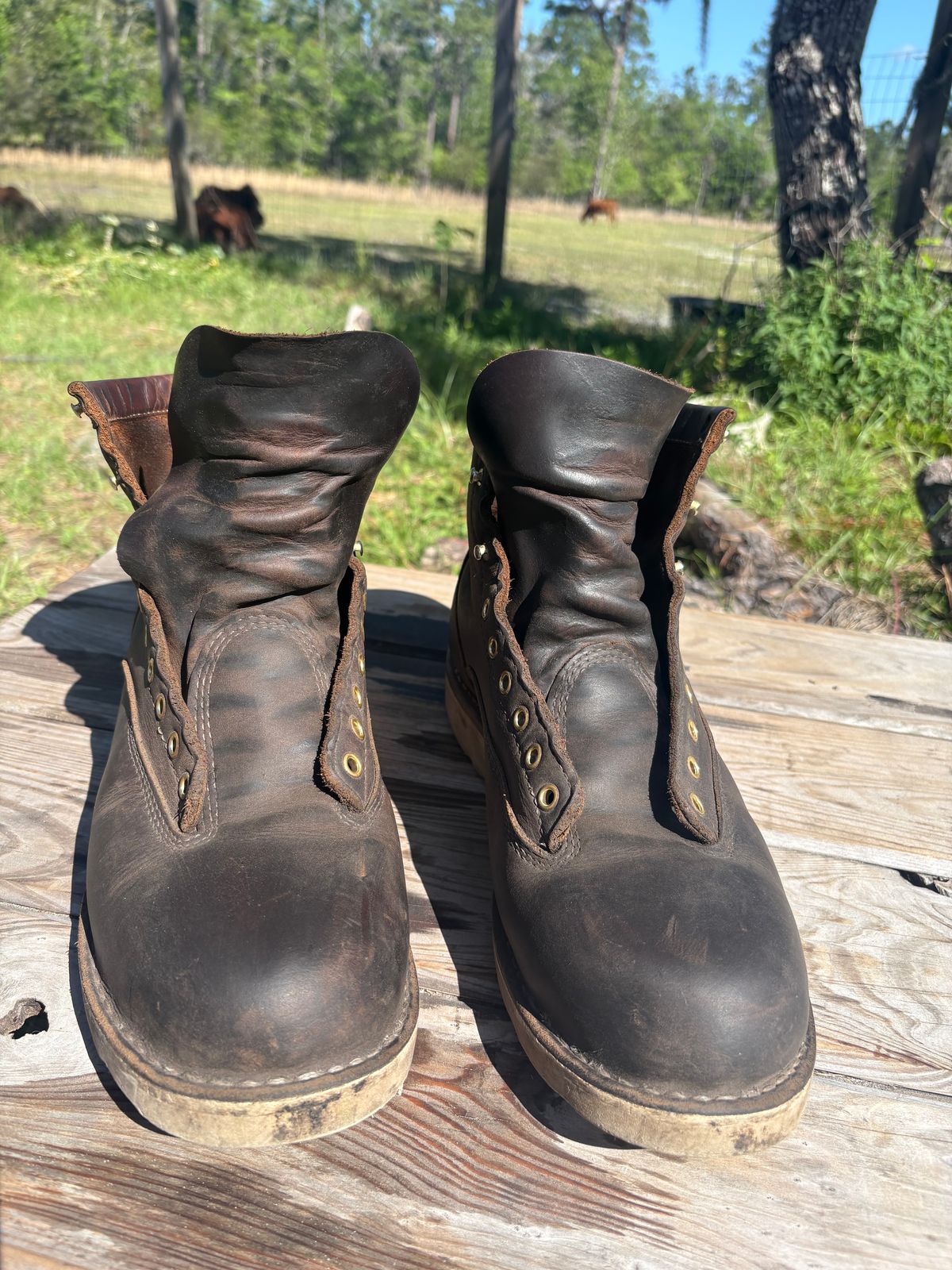 Photo by MuttBarker on April 4, 2026 of the White's Foreman Lace to Toe in Brown Distress.