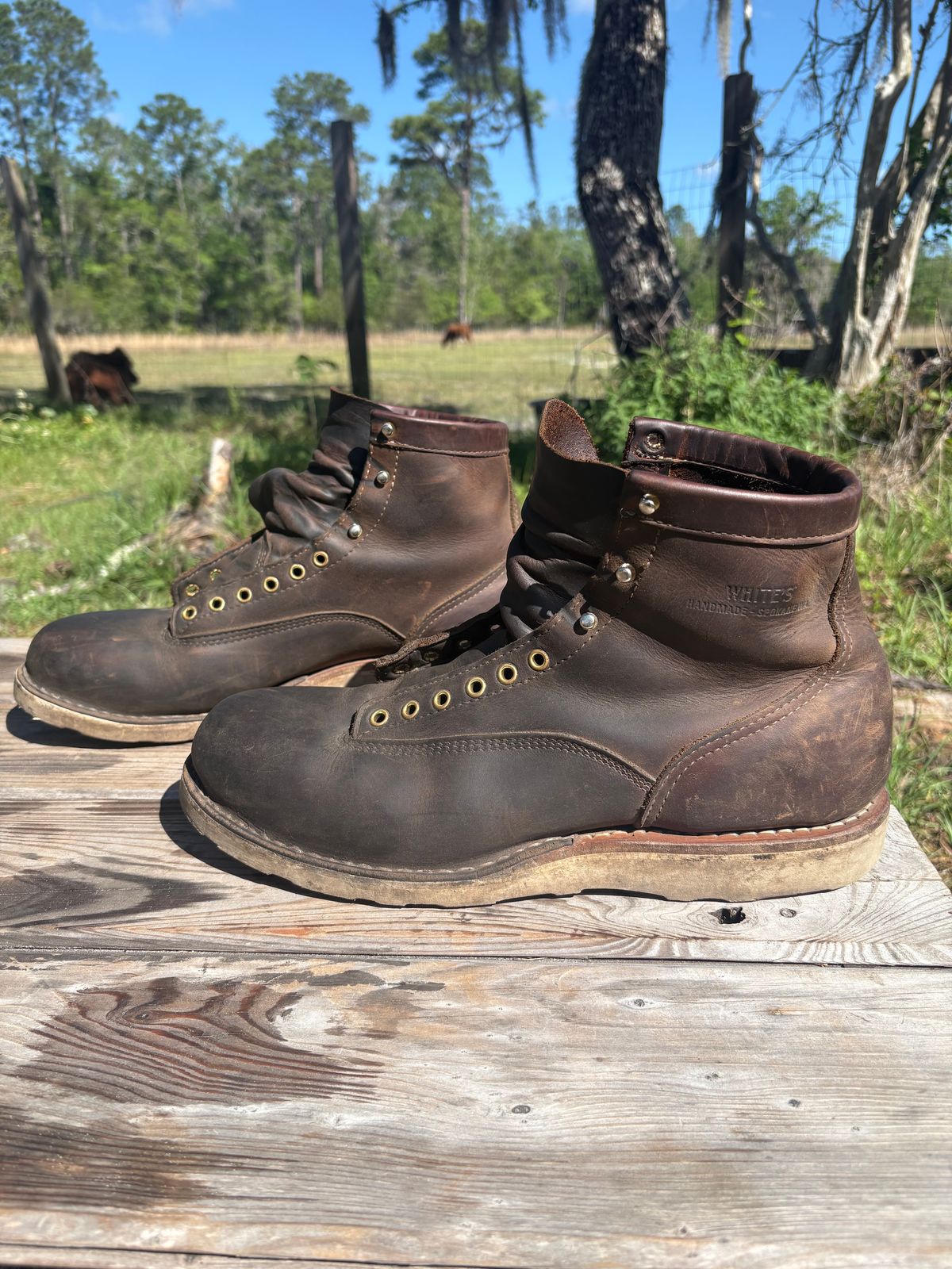 Photo by MuttBarker on April 4, 2026 of the White's Foreman Lace to Toe in Brown Distress.