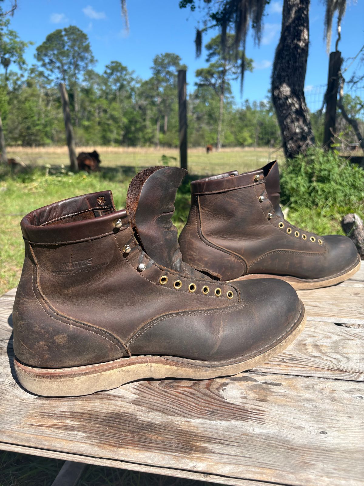 Photo by MuttBarker on April 4, 2026 of the White's Foreman Lace to Toe in Brown Distress.