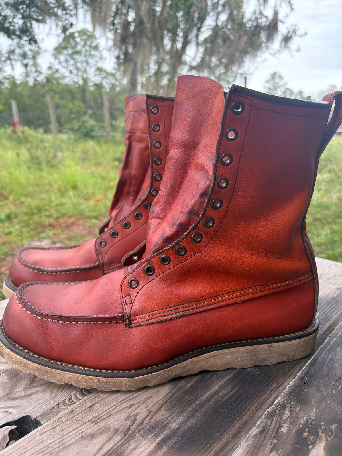 Photo by MuttBarker on October 5, 2025 of the Red Wing Irish Setter Sport Boot 877 in S.B. Foot Oro-Russet Abilene.