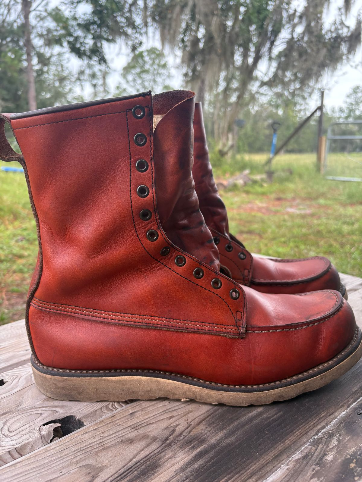 Photo by MuttBarker on October 5, 2025 of the Red Wing Irish Setter Sport Boot 877 in S.B. Foot Oro-Russet Abilene.