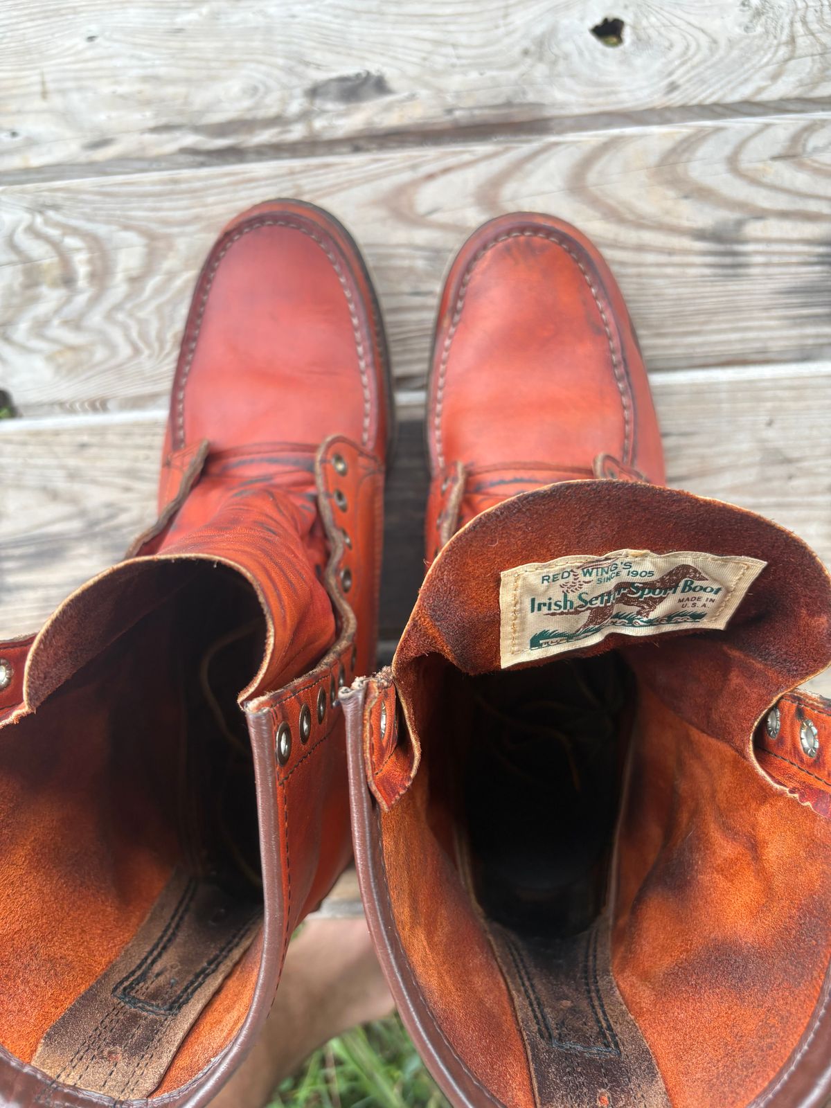 Photo by MuttBarker on October 5, 2025 of the Red Wing Irish Setter Sport Boot 877 in S.B. Foot Oro-Russet Abilene.
