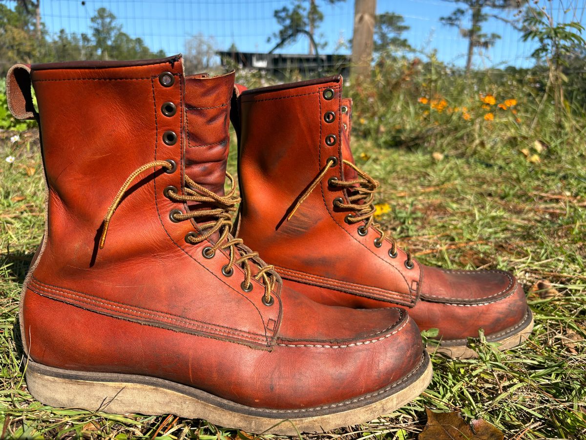 Photo by MuttBarker on November 5, 2025 of the Red Wing Irish Setter Sport Boot 877 in S.B. Foot Oro-Russet Abilene.