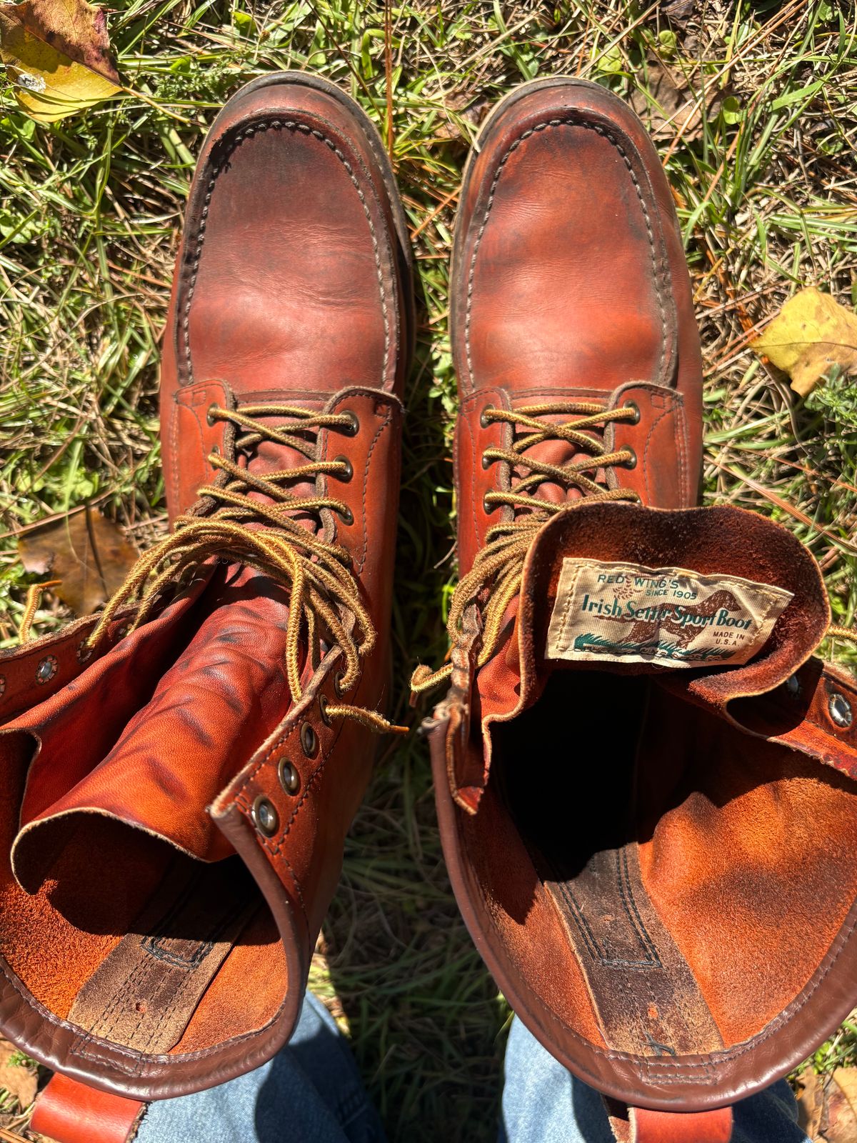Photo by MuttBarker on November 5, 2025 of the Red Wing Irish Setter Sport Boot 877 in S.B. Foot Oro-Russet Abilene.