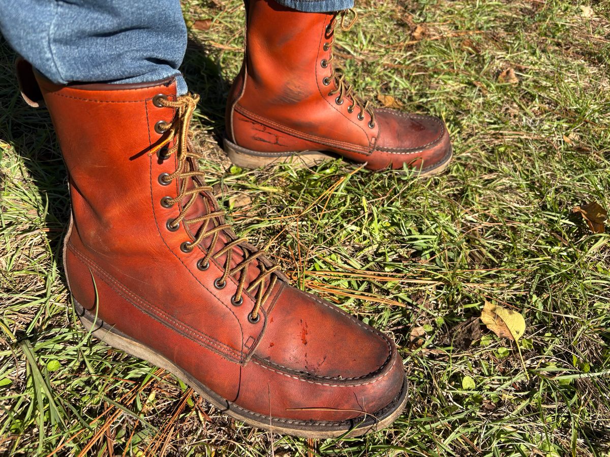 Photo by MuttBarker on November 5, 2025 of the Red Wing Irish Setter Sport Boot 877 in S.B. Foot Oro-Russet Abilene.