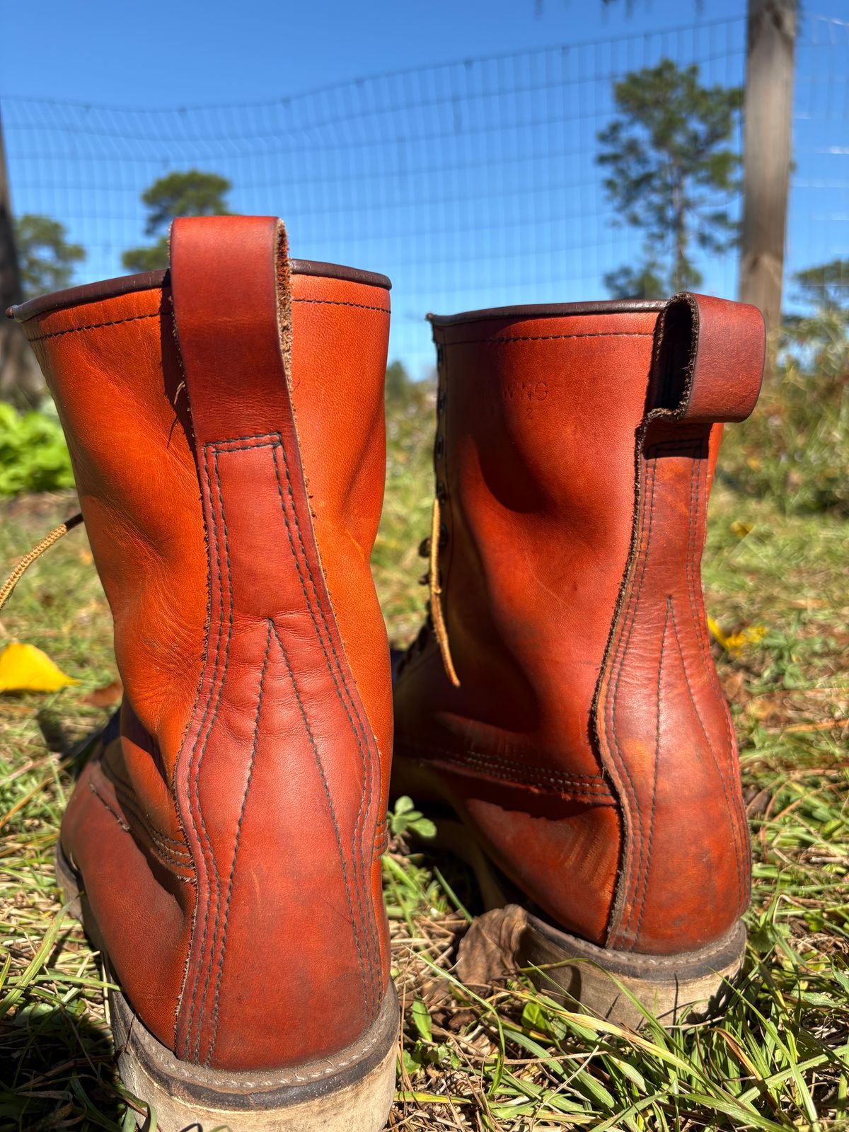 Photo by MuttBarker on November 5, 2025 of the Red Wing Irish Setter Sport Boot 877 in S.B. Foot Oro-Russet Abilene.