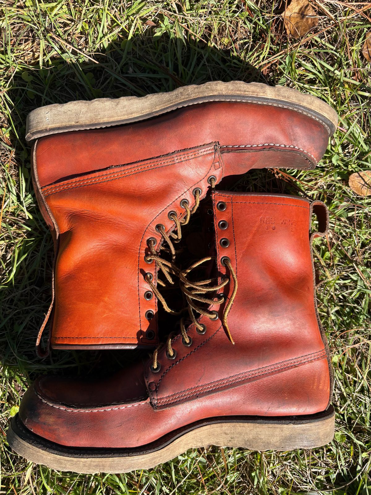 Photo by MuttBarker on November 5, 2025 of the Red Wing Irish Setter Sport Boot 877 in S.B. Foot Oro-Russet Abilene.