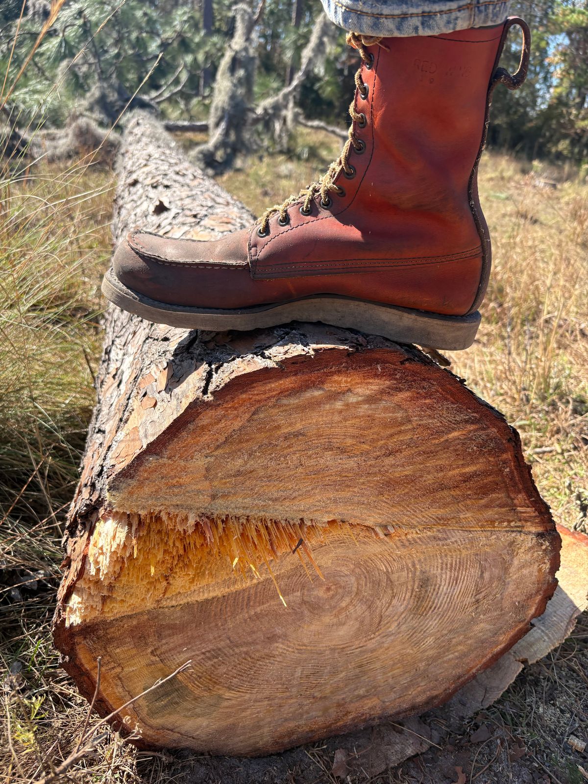 Photo by MuttBarker on November 22, 2025 of the Red Wing Irish Setter Sport Boot 877 in S.B. Foot Oro-Russet Abilene.
