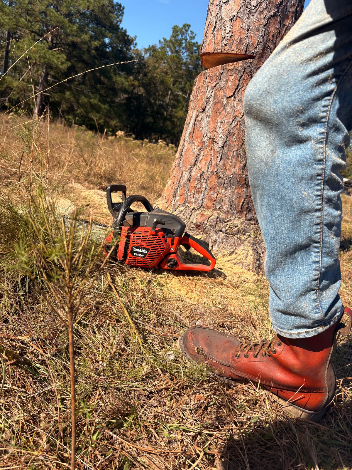 Photo by MuttBarker on November 22, 2025 of the Red Wing Irish Setter Sport Boot 877 in S.B. Foot Oro-Russet Abilene.