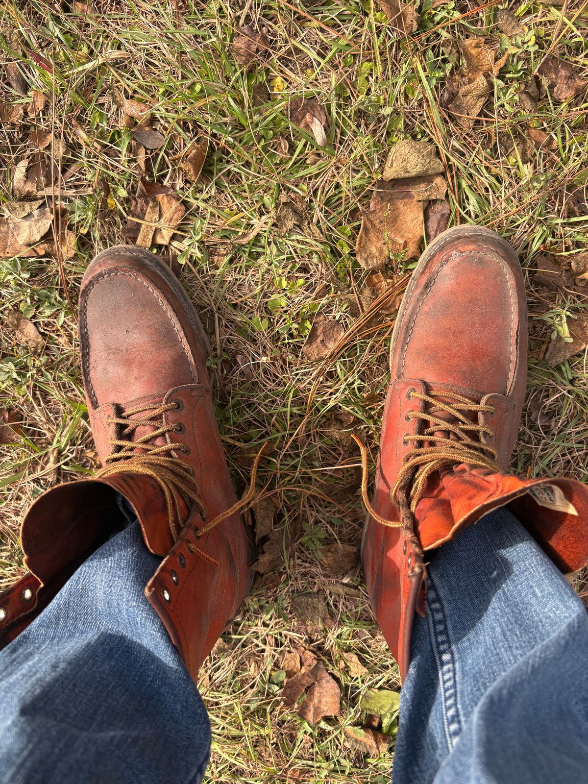 Photo by MuttBarker on December 3, 2025 of the Red Wing Irish Setter Sport Boot 877 in S.B. Foot Oro-Russet Abilene.
